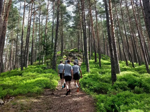 Un trail très terroir à Aubure