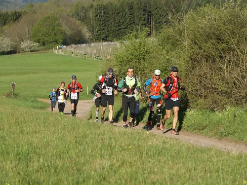 Le crush du jour : et si on s'inscrivait au Trail du Wurzel ?