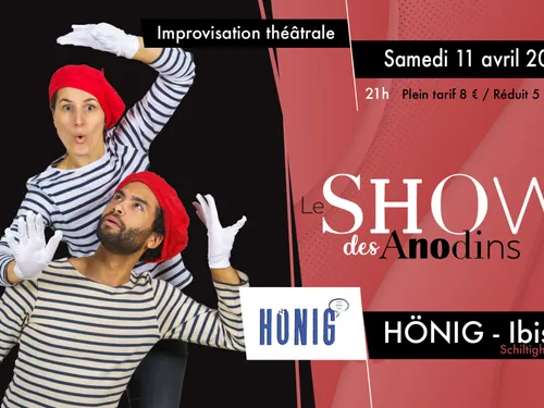 Le Show des Anodins au Hönig Ibis Styles
