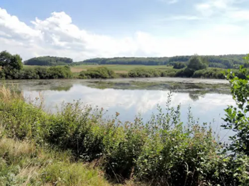 Les lauréats 2026 du programme Patrimoine Naturel & Biodiversité en...