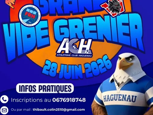 Grand vide grenier à Haguenau