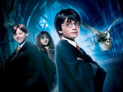 Séance anniversaire : Harry Potter à l'école des sorciers au cinéma...