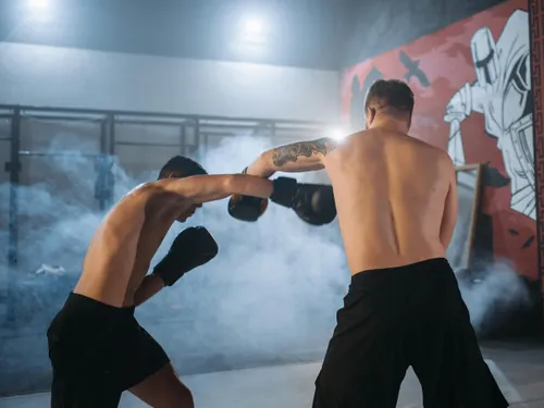 Hexagone MMA : le 14 septembre à Colmar