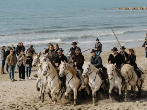 Le Grau-du-Roi : les chevaux de retour sur le sable pour la 29e...