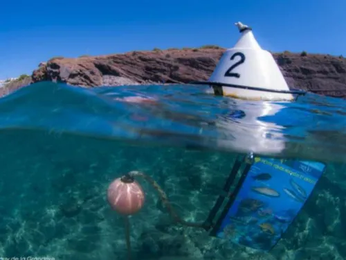 Hérault, Pyrénées-Orientales : Trois spots de snorkeling à explorer...