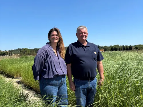En Petite Camargue dans le Gard, l’eau se soigne par le végétal