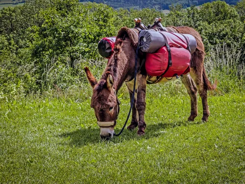 Golfe du Lion : et si vous lâchiez tout pour une rando... avec un...