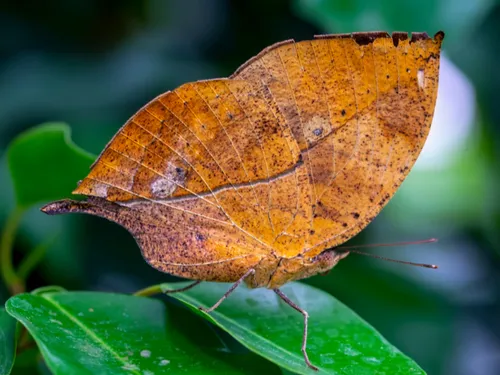 Aveyron : Vacances d’automne. Cap sur Micropolis pour un...