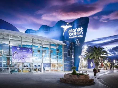 MyPass Montpellier : le chéquier malin pour sortir sans se ruiner