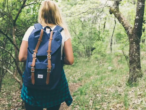 Randonnées : les gestes pour préserver nos forêts