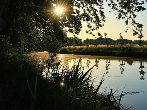 Occitanie : deux coups de pouce de 100 000 € pour sauver les arbres...