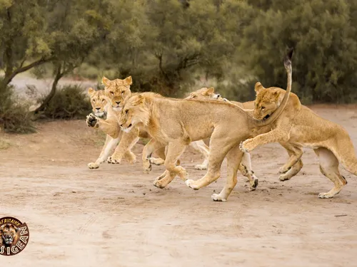 Sigean : La réserve africaine ouvre ses portes aux enfants du...