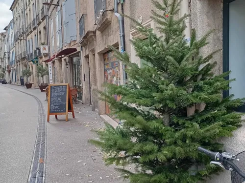 À Pézenas, neuf sapins participatifs et un Nadal 2025 plus féérique...