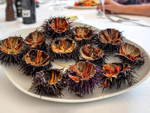 Les Oursinades arrivent à Canet-en-Roussillon