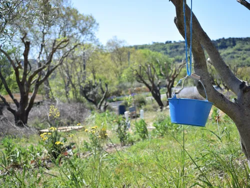 Hérault : la large place aux projets écologiques dans le budget...