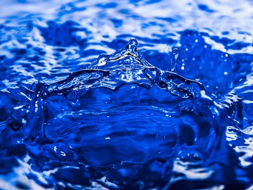 Métropole de Montpellier : 19 communes labellisées pour leur...