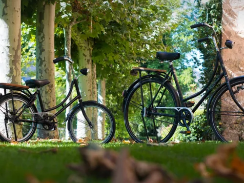 Une journée autour du vélo avec Les Papillons Blancs de Lille
