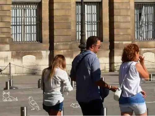 Lille, 5ème ville de France « pour les animaux »