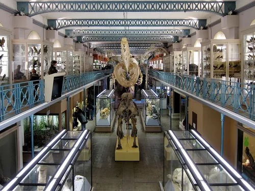 Le Musée d'Histoire Naturelle de Lille ne rouvrira pas avant 2028