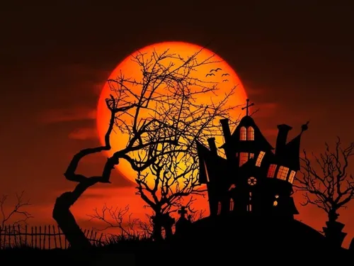 Un marché hanté à Tourcoing 