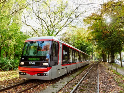 Ilévia renforce ses transports ces vendredi et samedi