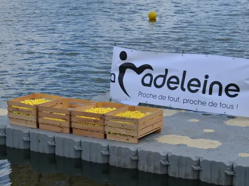 Pariez sur des canards en plastique à La Madeleine pour la bonne cause