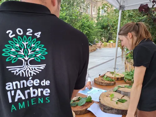 La forêt urbaine éphémère d'Amiens prolongée en septembre