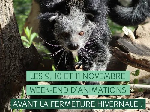 Dernier week-end d'animations au zoo de Lille avant fermeture