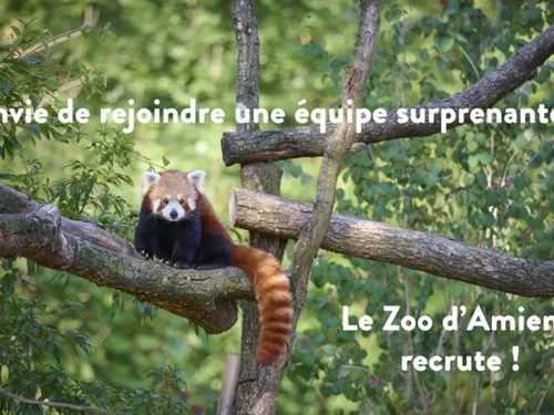 Le zoo d'Amiens recrute 