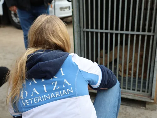 Pairi Daiza cherche des saisonniers