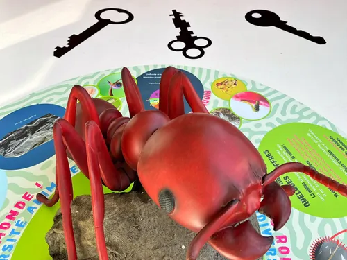 Une nouvelle exposition à découvrir à Cité Nature