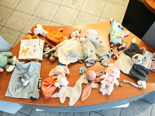 La Ville d'Arras lance un appel aux doudous perdus !