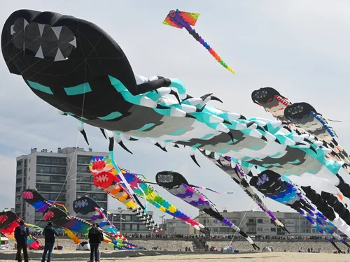 Nouveau record du monde battu à Berck-sur-Mer !