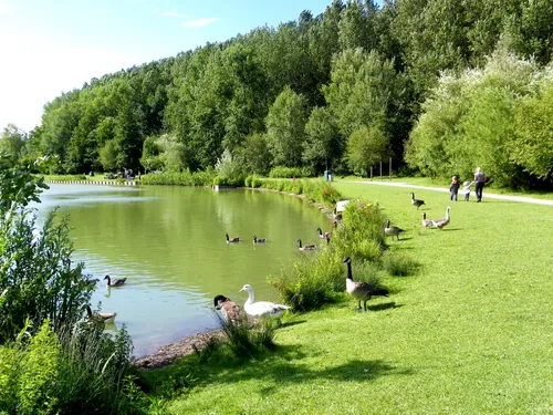 Willems : bientôt la fin des animations au parc des Six-Bonniers 