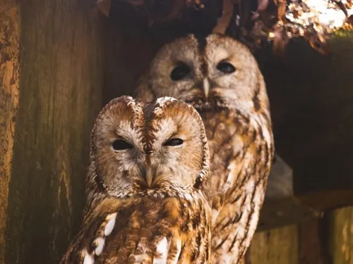 Les idées de sorties du week-end dans la région