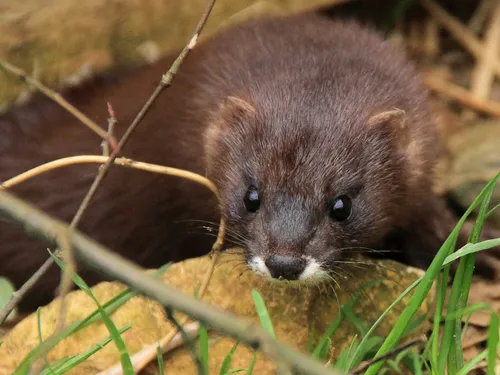 Nouveau week-end de la conservation chez Bio-Topia