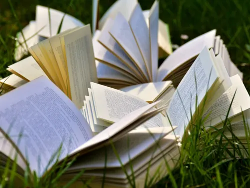 Salon du livre à Saint-Martin-lez-Tatinghem