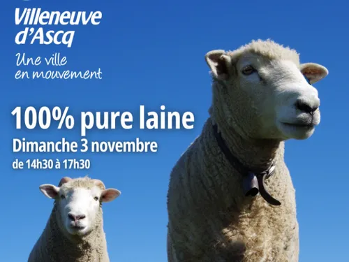 Travaillez la laine au Musée du Terroir ce dimanche