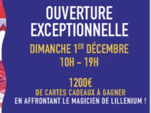 Deux braderies à Lillenium ce week-end