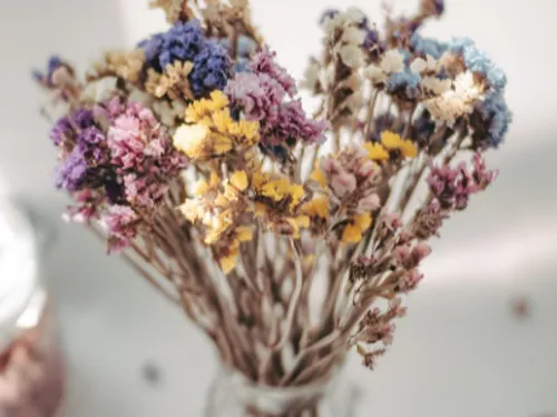 Grande vente de fleurs séchées dès aujourd'hui au Grand Playground
