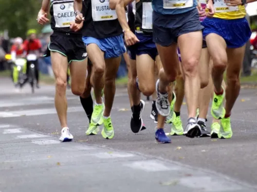 « In Sibou » : une journée pleine d'animations à Bousbecque fin...