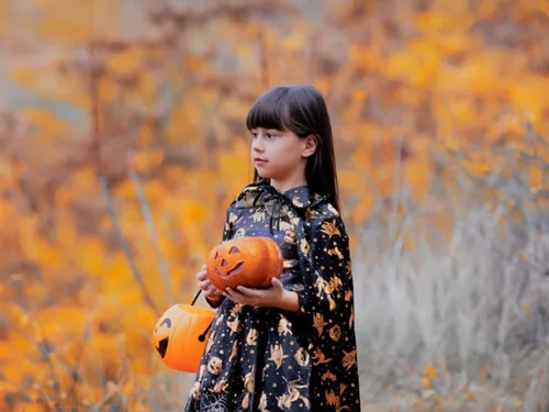 Animations Halloween dans les lieux culturels d'Arras