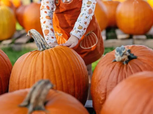 Les Foulées d'Halloween à La Madeleine