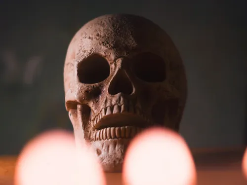 Un labyrinthe de la terreur à traverser à Bourghelles...