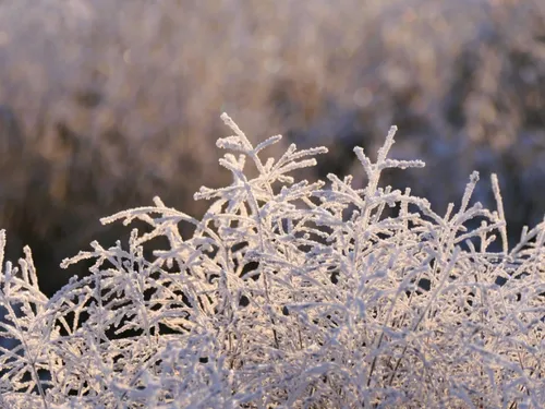 Le Noël le plus froid depuis 15 ans  dans la région ?