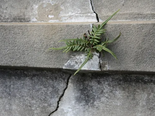 20 communes du Nord reconnues en état de catastrophe naturelle