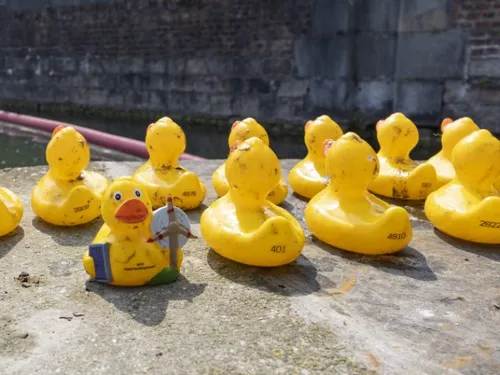 Le Ducks Day, c'est ce dimanche à Douai !