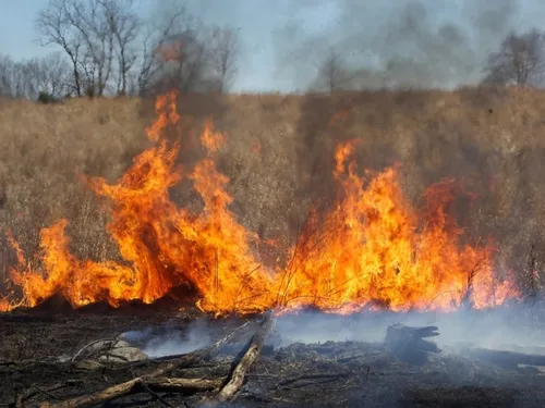Risque élevé de feux de forêts dans l'Aisne