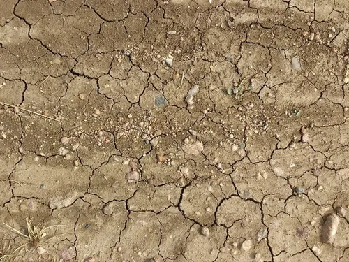 Le Nord placé en vigilance alerte sécheresse