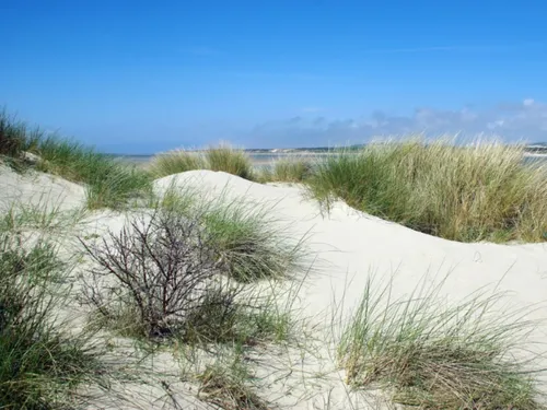 Pas-de-Calais : l'accès aux dunes temporairement interdit
